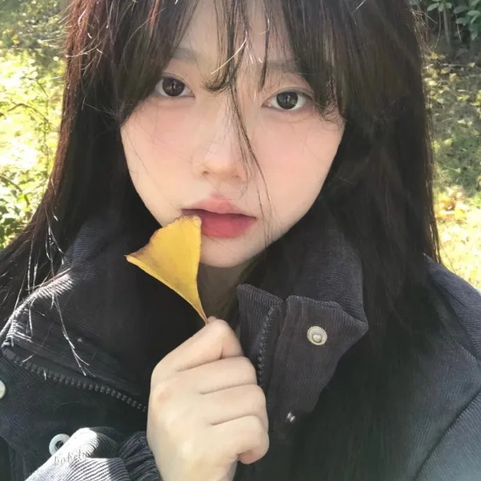 凸槌高材生封面