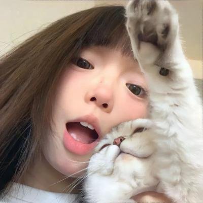 被流浪猫捡到的男人封面